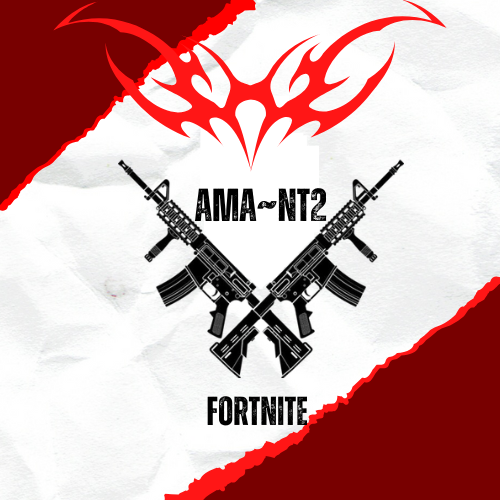 AMA-NT12 Gamer Logo